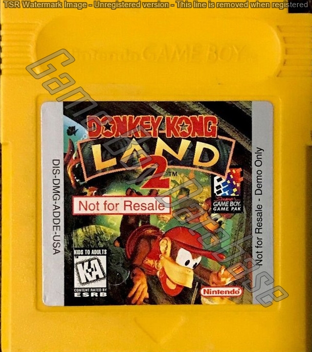 Donkey Kong Land 2