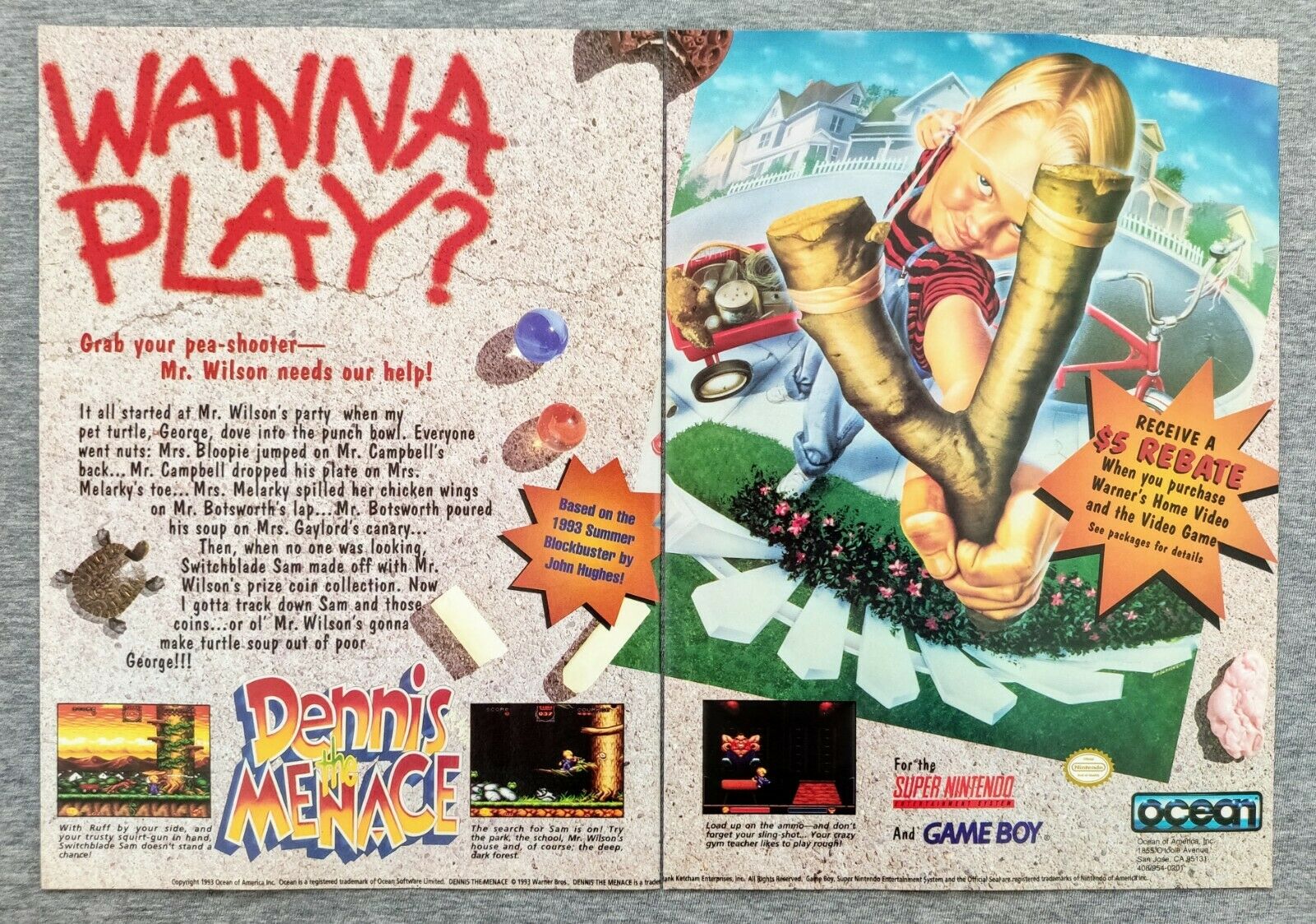 tests//1396/Dennis-the-Menace-Extras-Gameboy-1993-Vintage.jpg